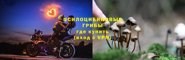 а пвп мука Алексеевка