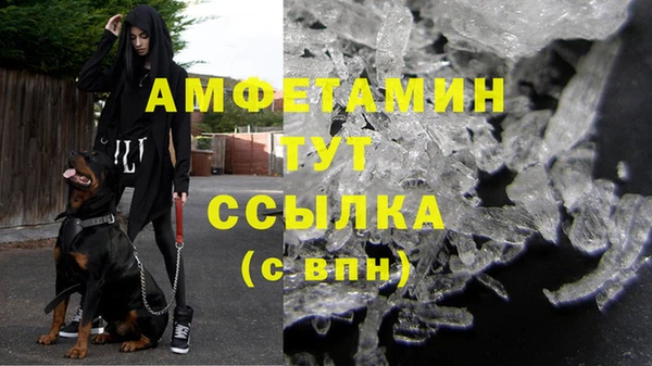 гашик Алзамай