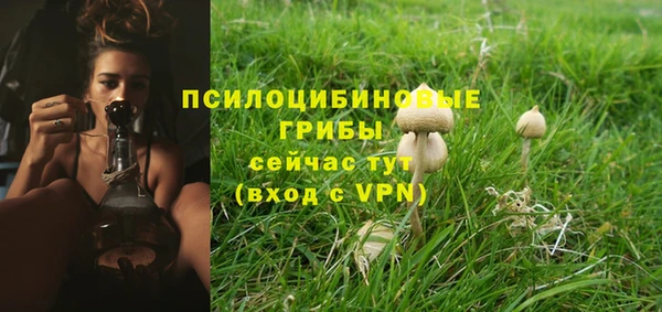 а пвп мука Алексеевка